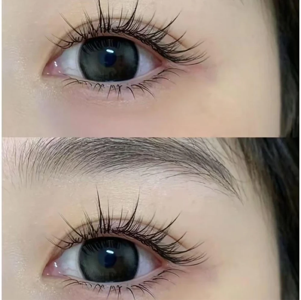 Defined · Wispy · Soft curl lash inspiration