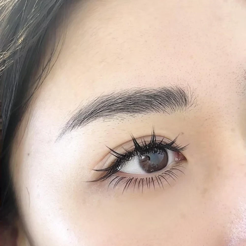Defined · Wispy · Soft curl lash inspiration