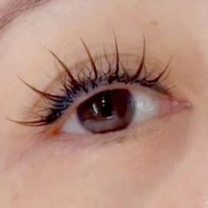 Defined · Wispy · Soft curl lash inspiration